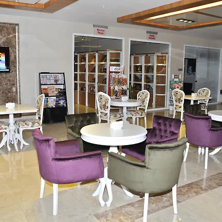 酒店 Hanem Sogut (Aegean)