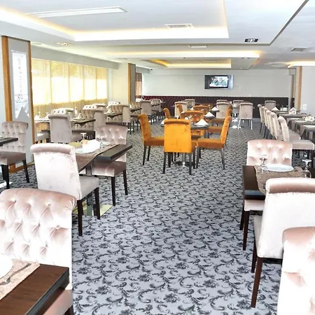 Hotel Hanem Sogut (Aegean)