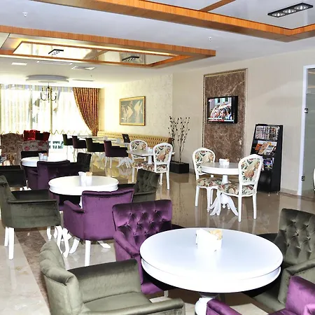 Hotel Hanem Sogut (Aegean)